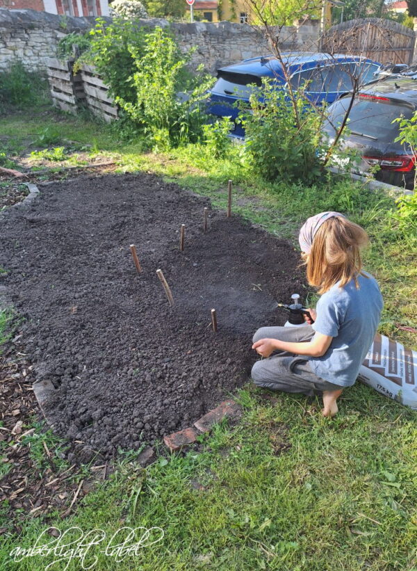 Aussaat 1qm Lein 2025 120. Tag des Jahres