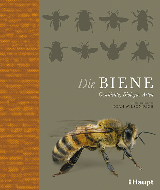 Rezension: Die Biene. Geschichte, Biologie, Arten