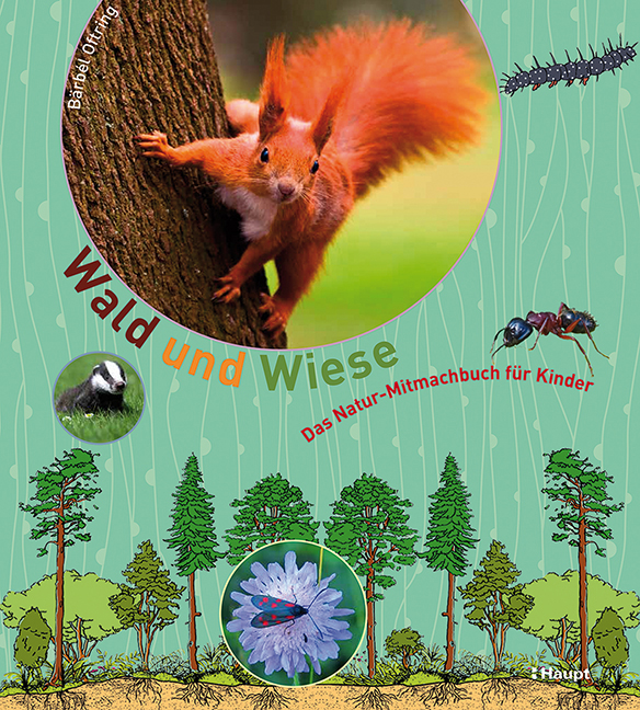 Rezension: Wald und Wiese: Das Natur-Mitmachbuch für Kinder