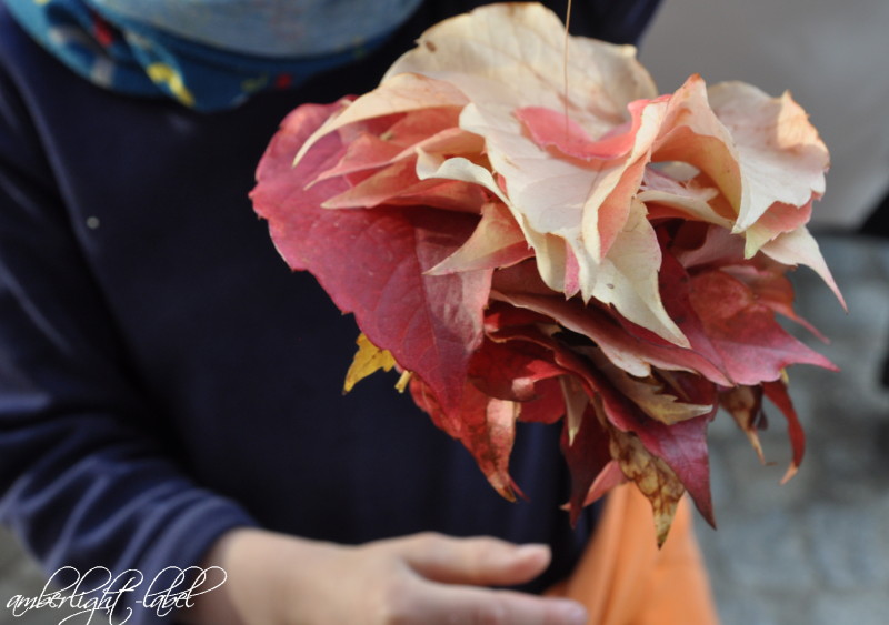 Herbstblätter sammeln