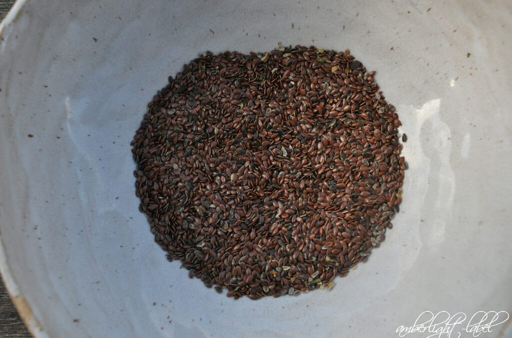 Riffeln Ernte 1qm Lein September 2025