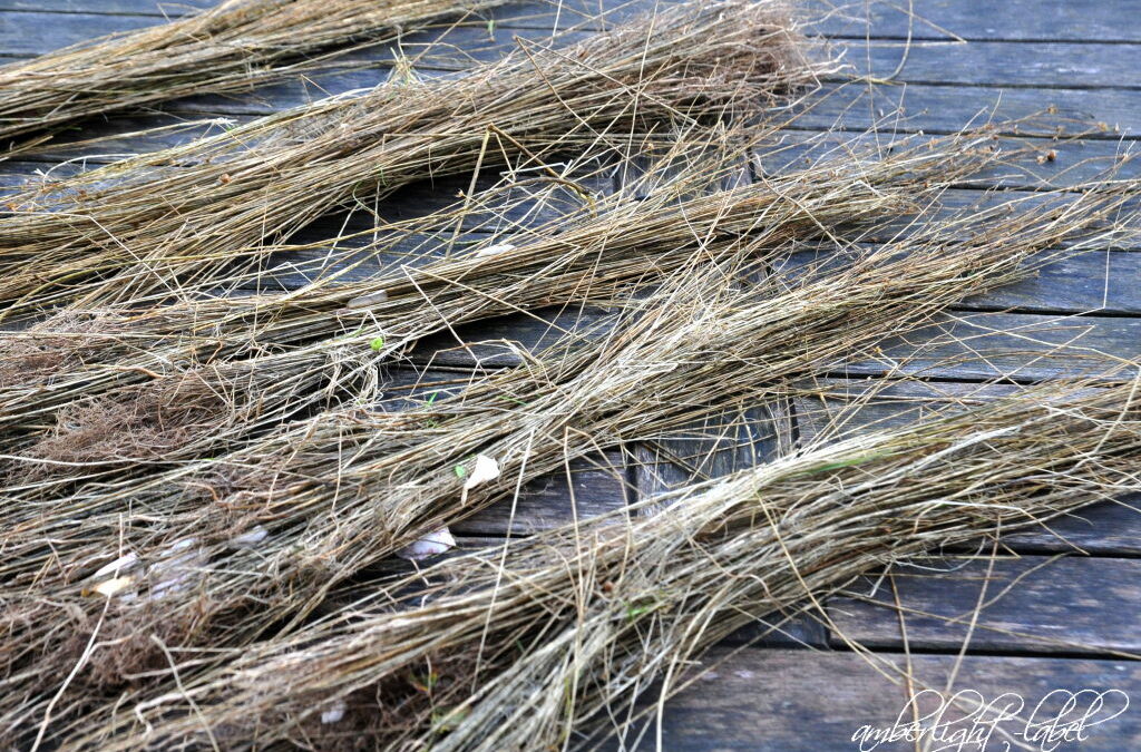 Rösten 1qm Lein Oktober 2025