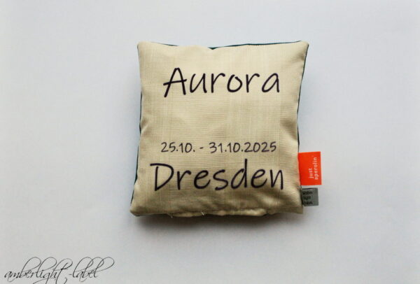 Schüleraustausch Dresden – Empoli Familientag Pillnitz