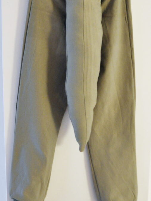 Faschingskostüm Brachiosaurus abknöpfbarer Schwanz