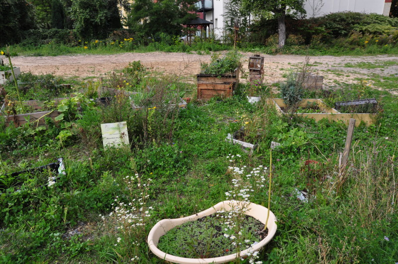 Urban gardening in Löbtau: Columbusgarten