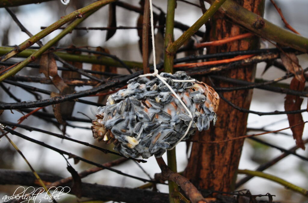 Vogelfutter DIY Wintervogelfutter Basteln mit Kindern Tannenzapfen