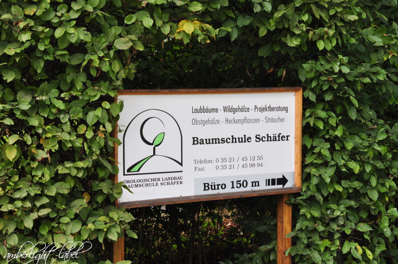 Ökologischer Landbau – Baumschule Schäfer in Naustadt/Sachsen