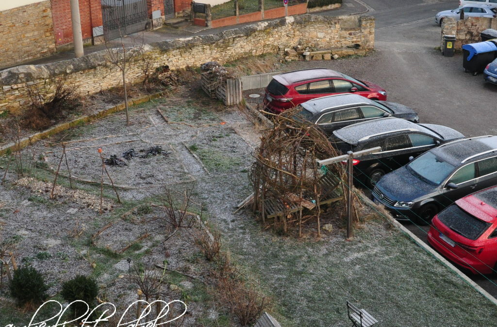 12tel Blick Garten im Vierseithof 2022 Februar