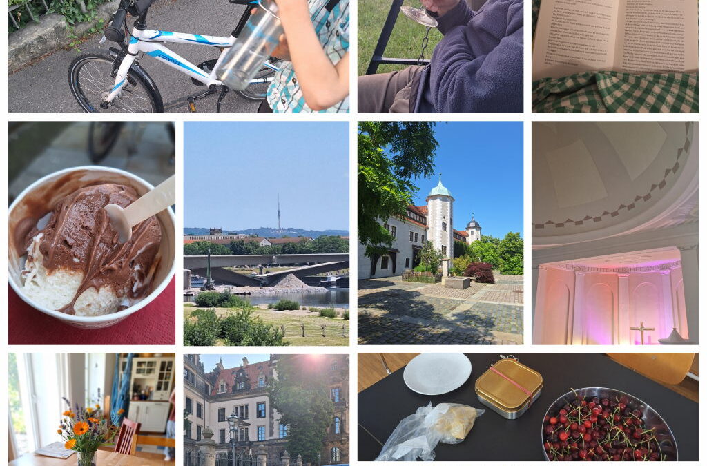 12 von 12 Juni 2025 Dresden