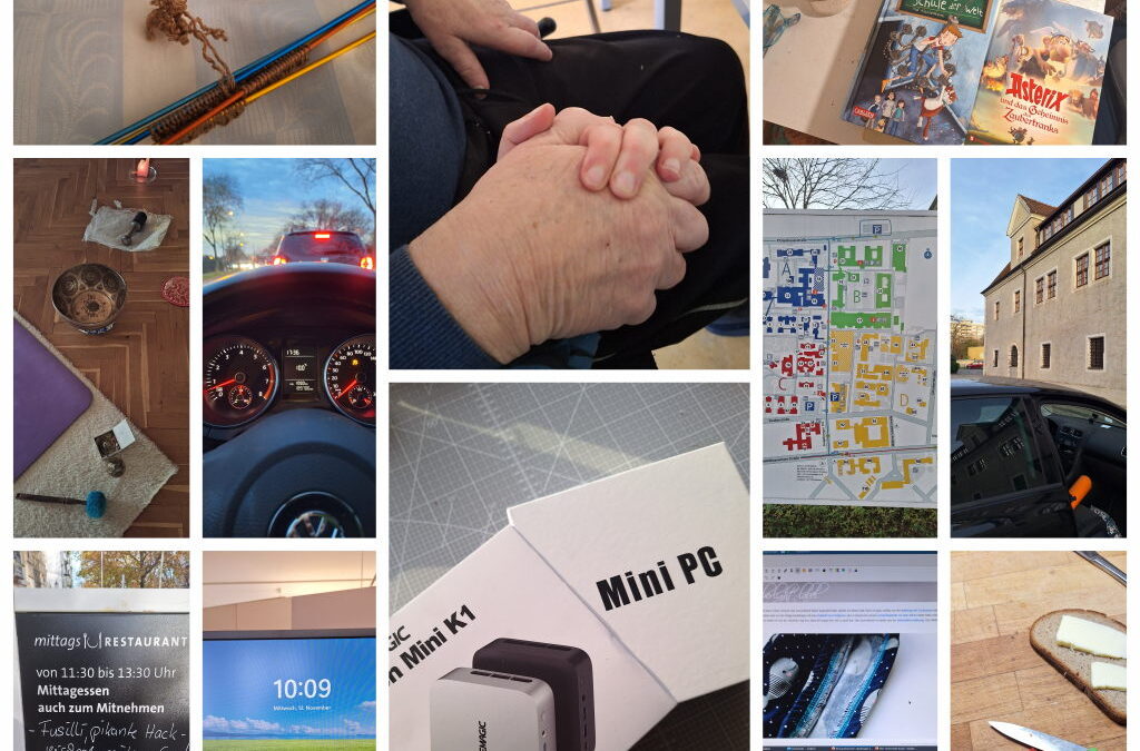 12 von 12 November 2025 Dresden