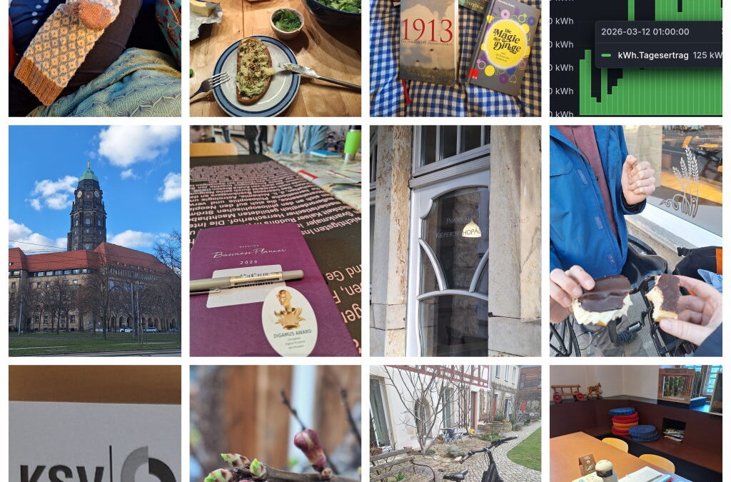 12 von 12 März 2026 Dresden